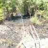 Brand